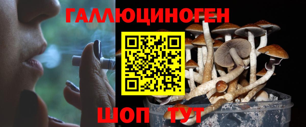цена   Галлюциногенные грибы мухоморы  Новозыбков  Вход с VPN  Псилоцибиновые грибы Psilocybine cubensis 