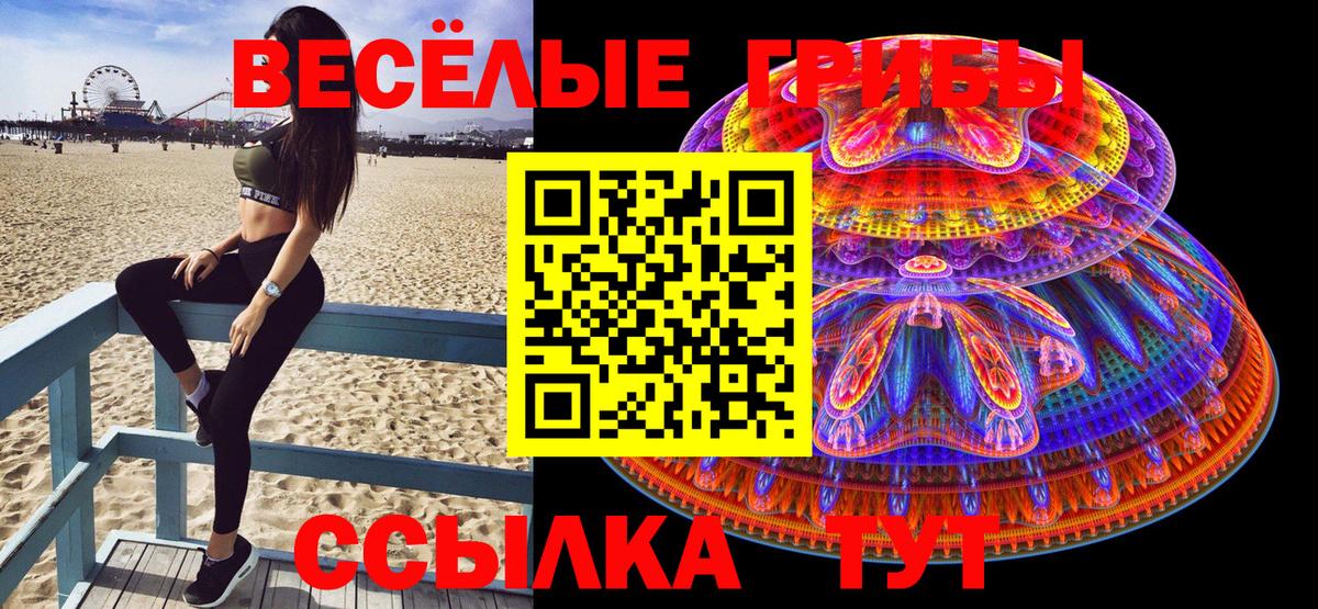 Галлюциногенные грибы Cubensis Новозыбков